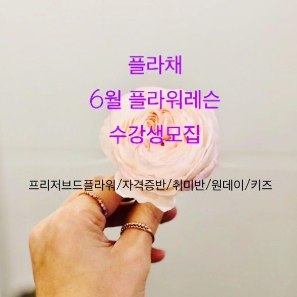 채원플라워 이미지