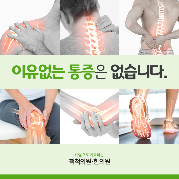 척척의원 이미지