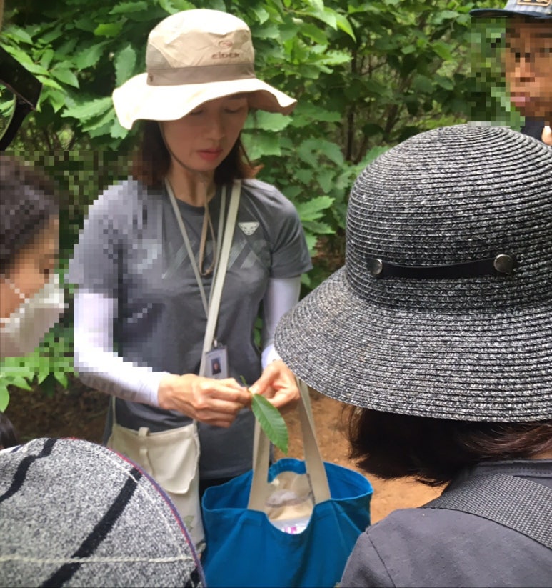 솔터힐링 숲체험원 이미지