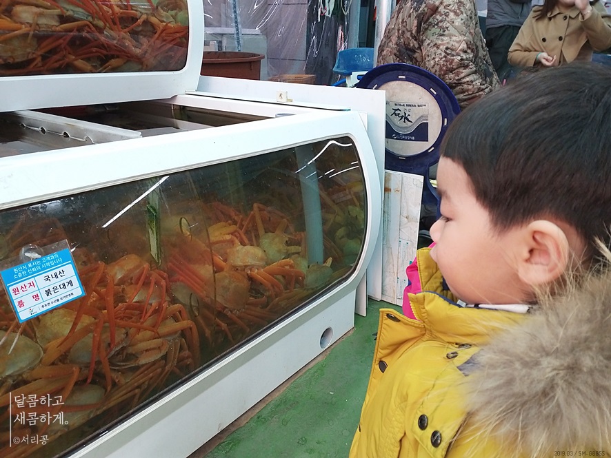 후포리건어물 이미지