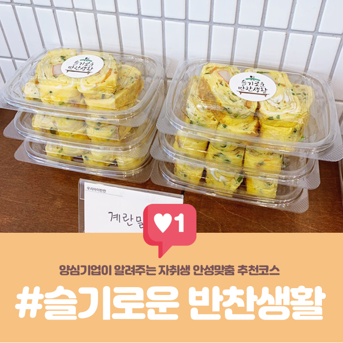 슬기로운반찬생활 이미지