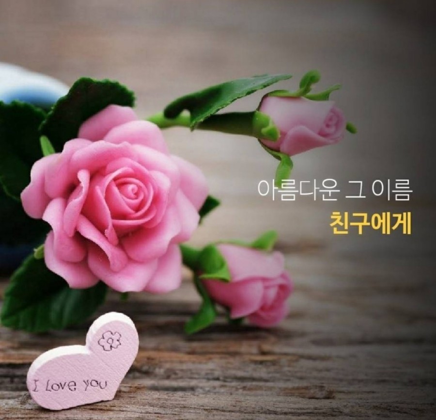 항상그자리에 이미지