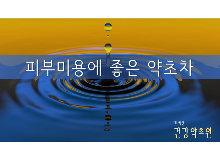 태백산약초원 이미지