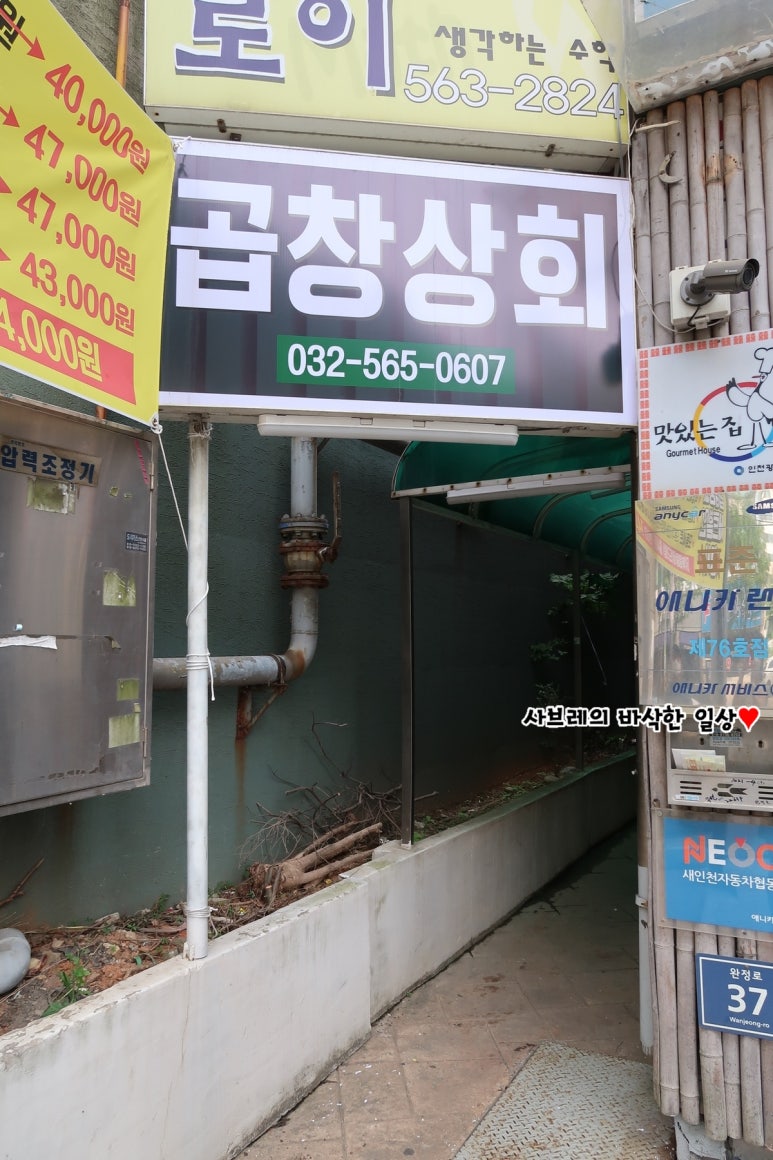 애니카랜드마전점 이미지