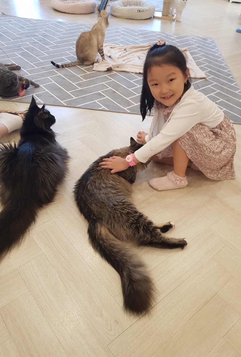 고양이별캣카페 이미지