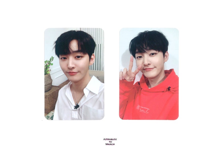 키노포토 이미지