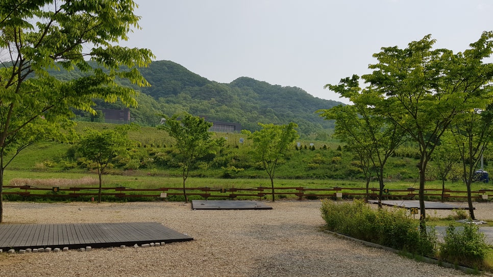 연산황산벌오토캠핑장 이미지