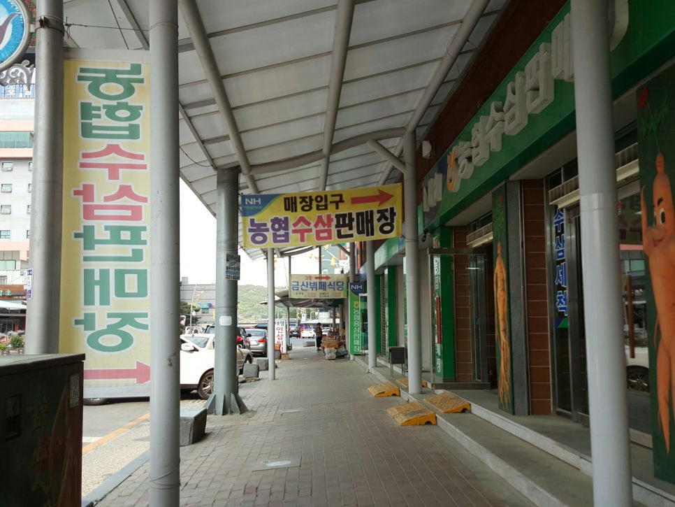금산수삼 이미지