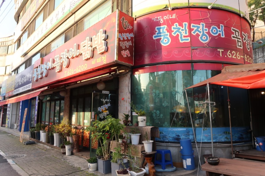 기동이네풍천장어 이미지