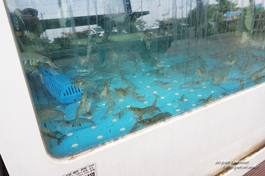 창리낚시레저 이미지