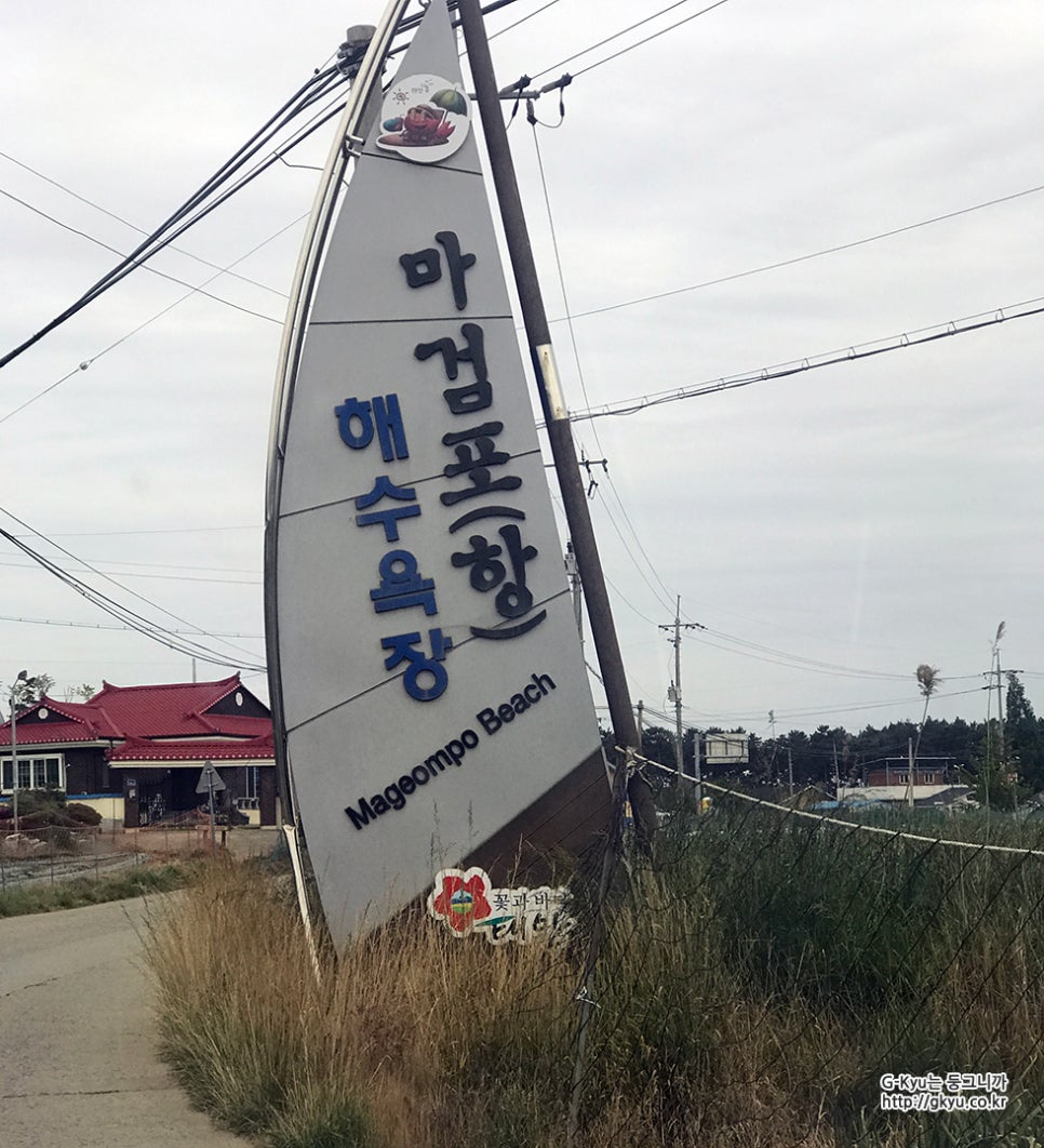 선창민박 이미지