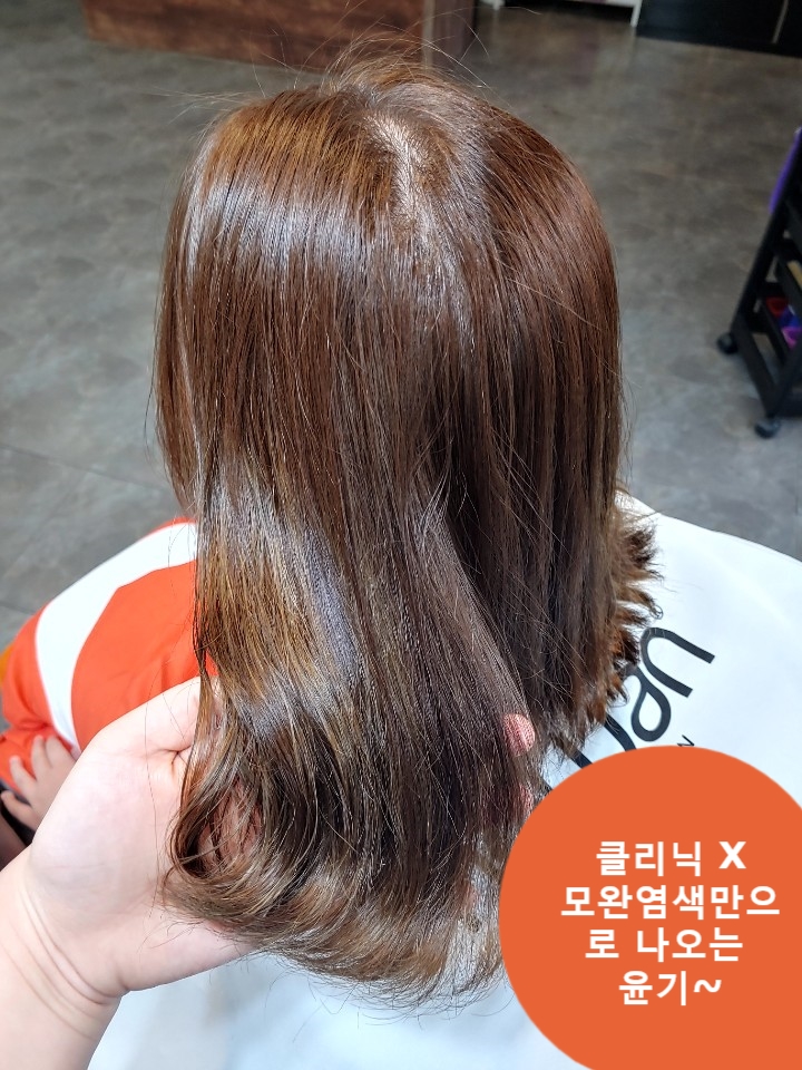 모완10 이미지