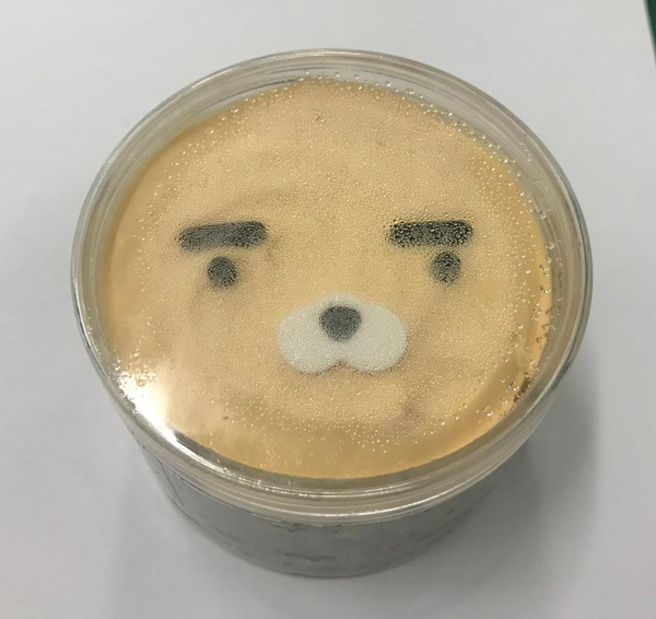 제이프렌즈 이미지