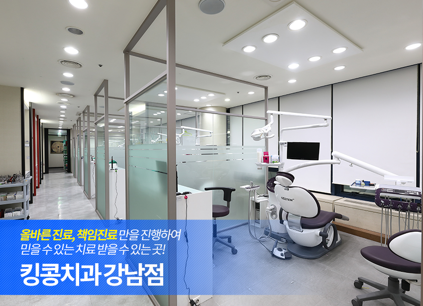 스티치킹콩 이미지