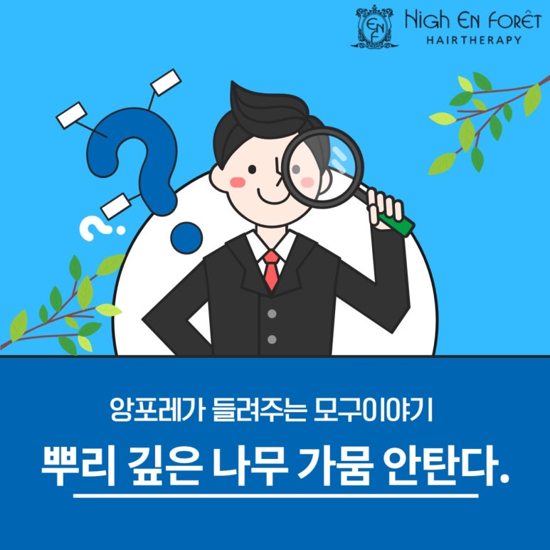 앙포레헤어 이미지
