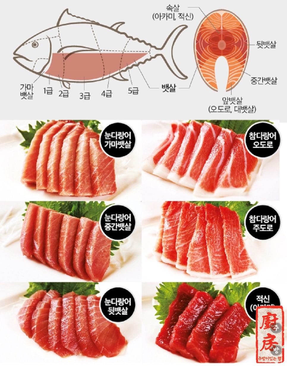 참치라이더 이미지