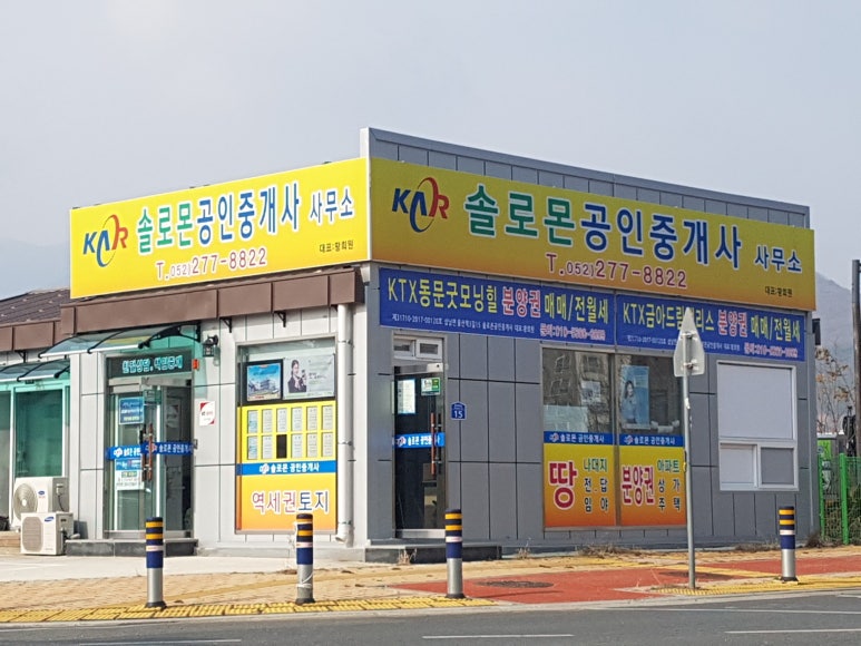 솔로몬 공인중개사 사무소 이미지