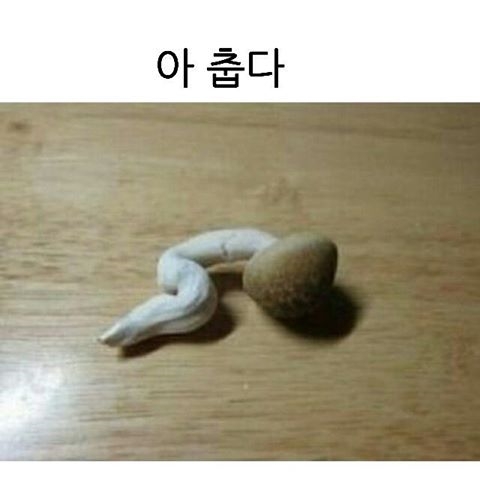 결이고은 에스테틱 이미지