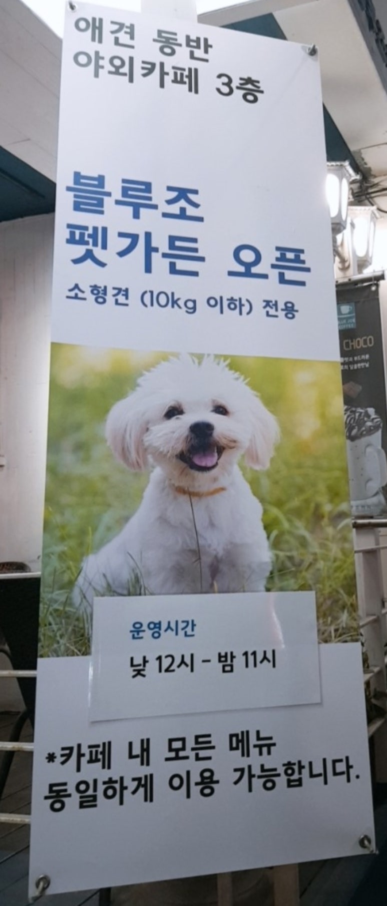 조*구 이미지