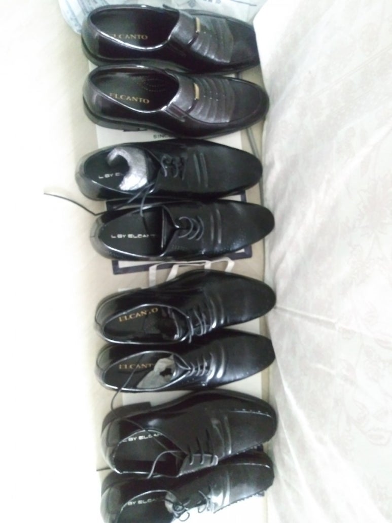 엘칸토중계2001 이미지