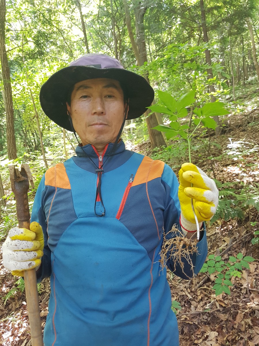 산삼하우스 이미지