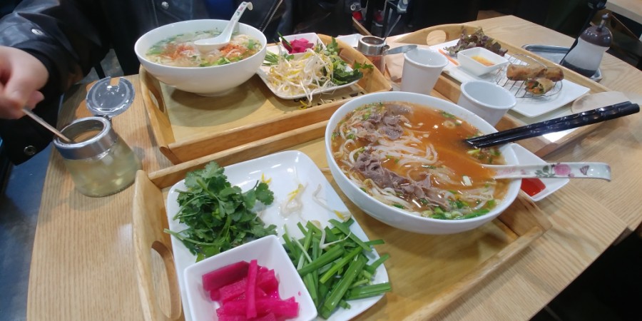 국수바라기 이미지