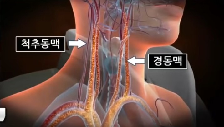 도리도리 이미지