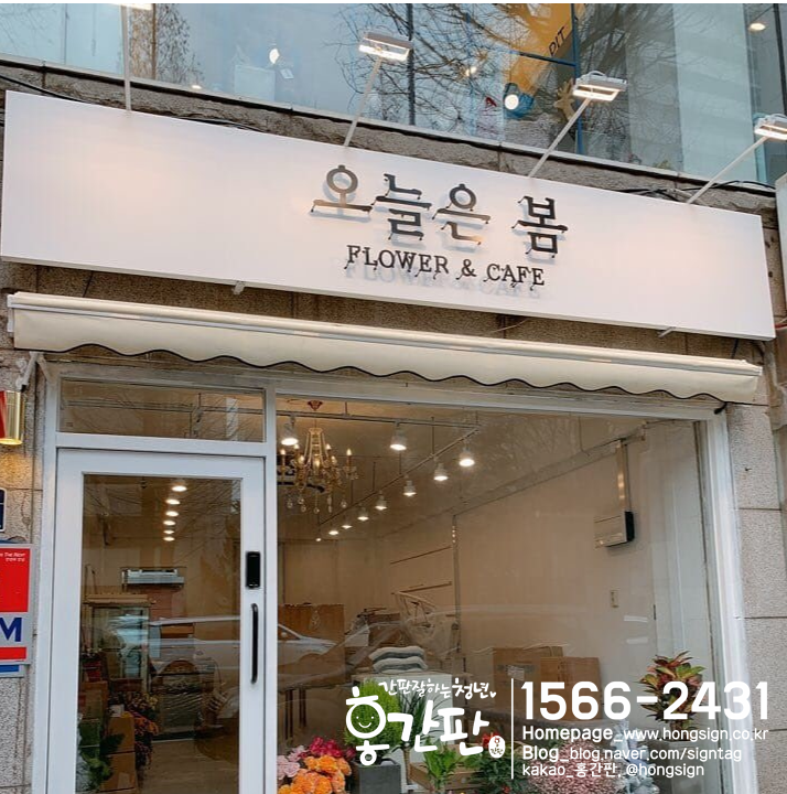 홍간판 이미지