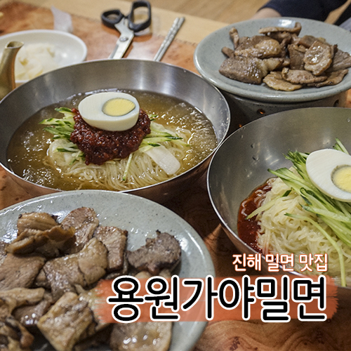 용원가야밀면 이미지