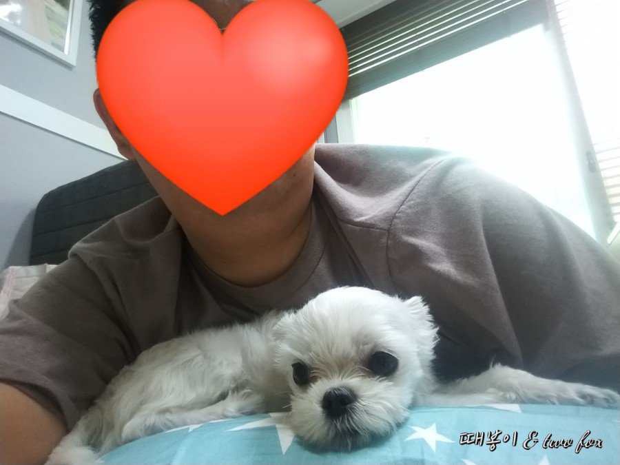 캠핑가고 이미지
