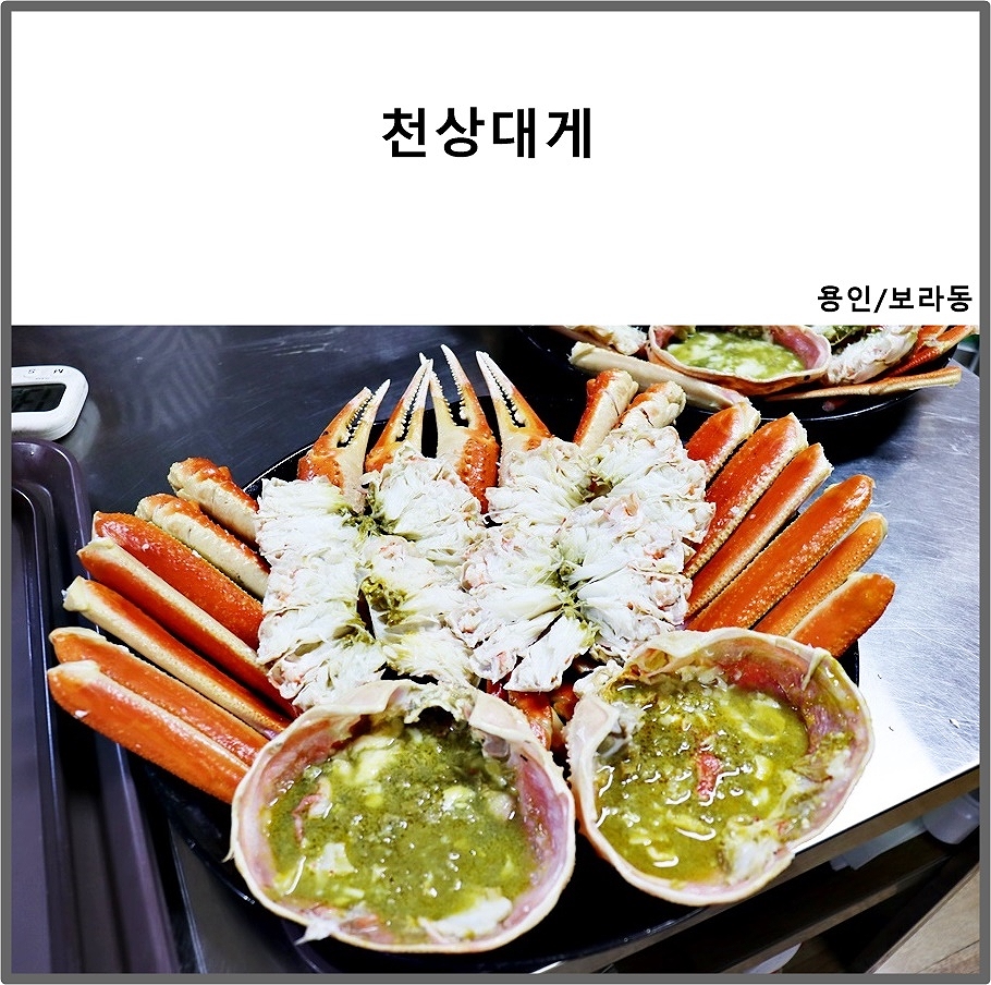 천상대게용인 이미지