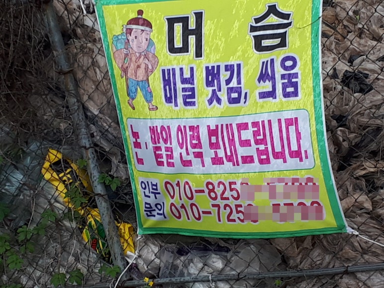 머슴인력 이미지