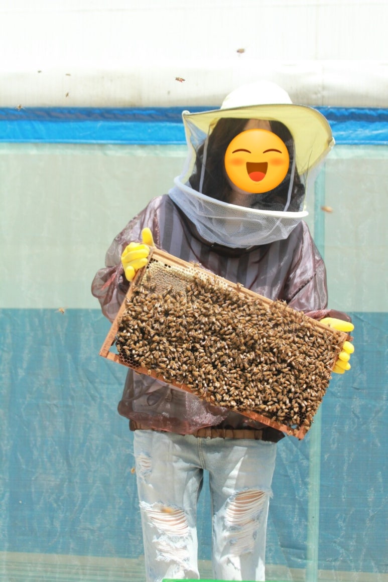 파주양봉영농조합법인 이미지