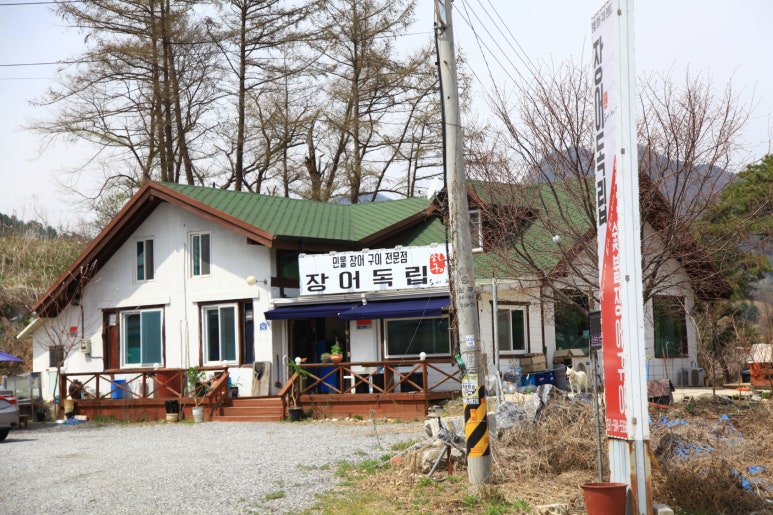 장어독립 이미지