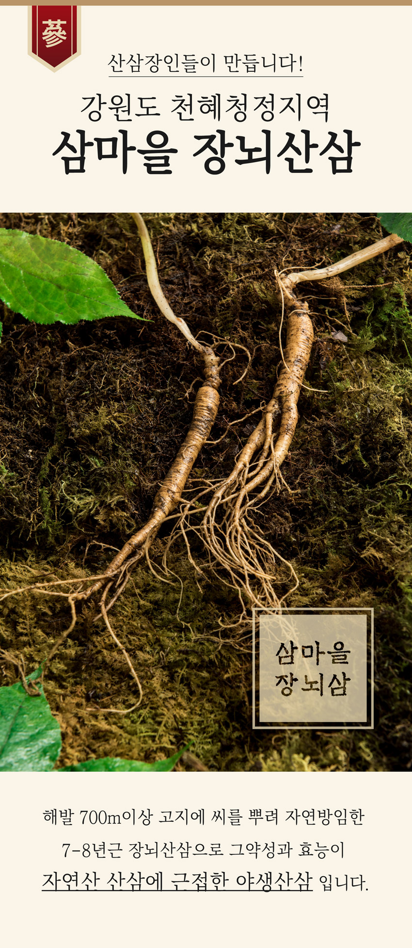 플러스컴퍼니 이미지