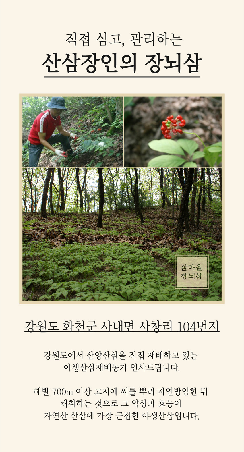 플러스컴퍼니 이미지