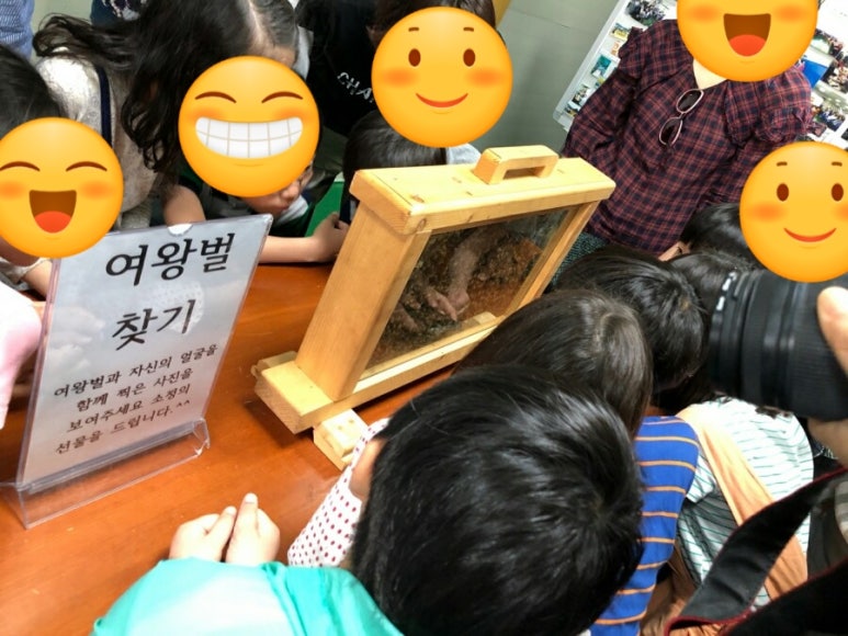 파주양봉영농조합법인 이미지
