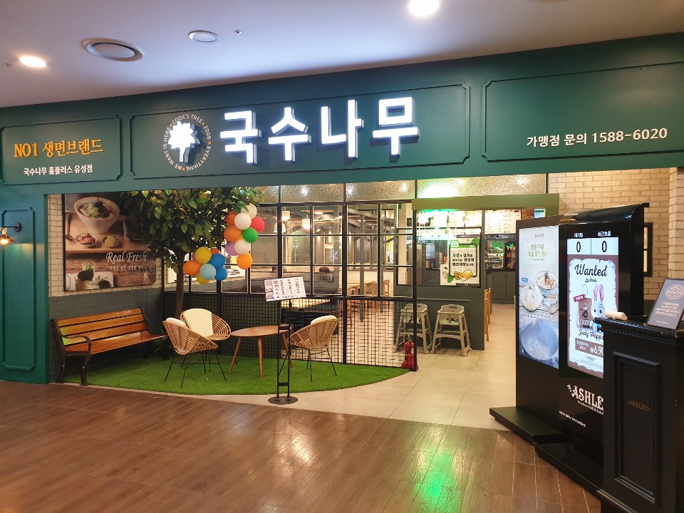 국수나무유성 이미지