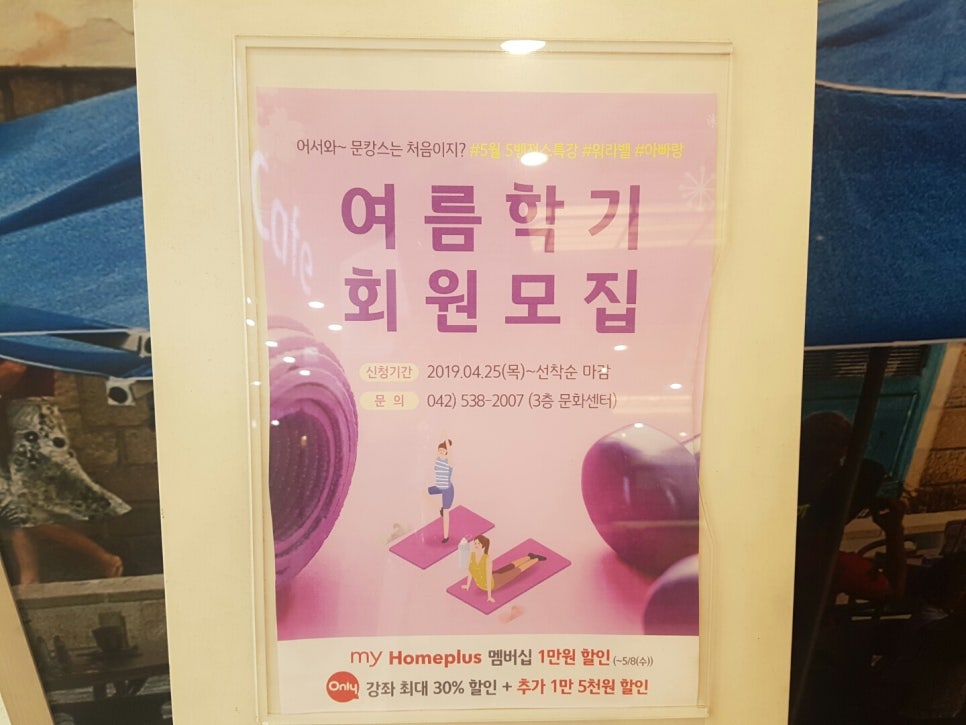 국수나무유성 이미지