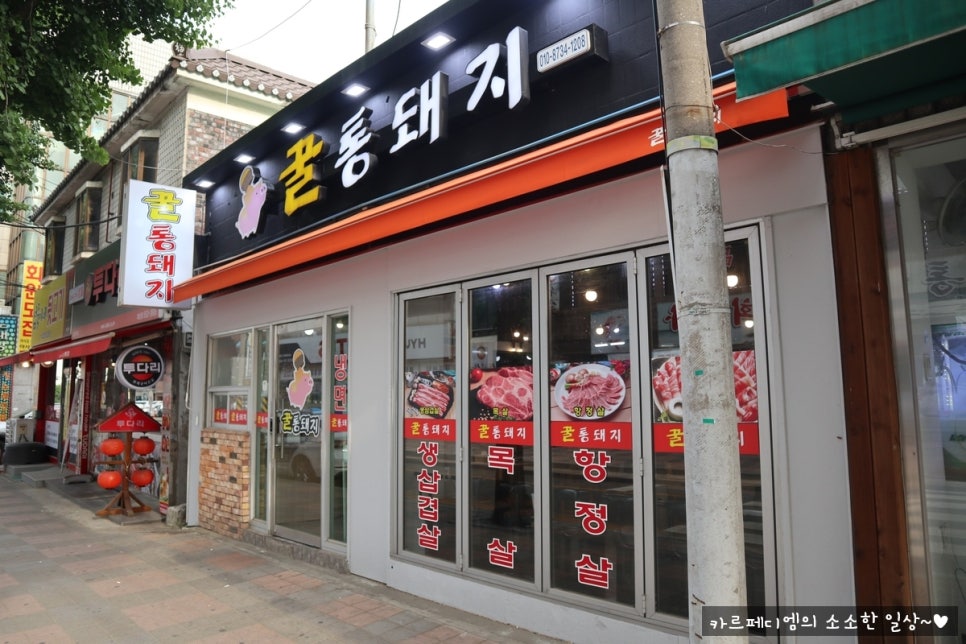 꿀통돼지 이미지