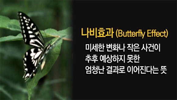 나비효과 이미지