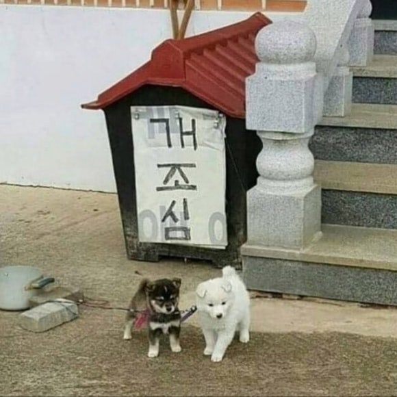 펭귄떡볶이 이미지