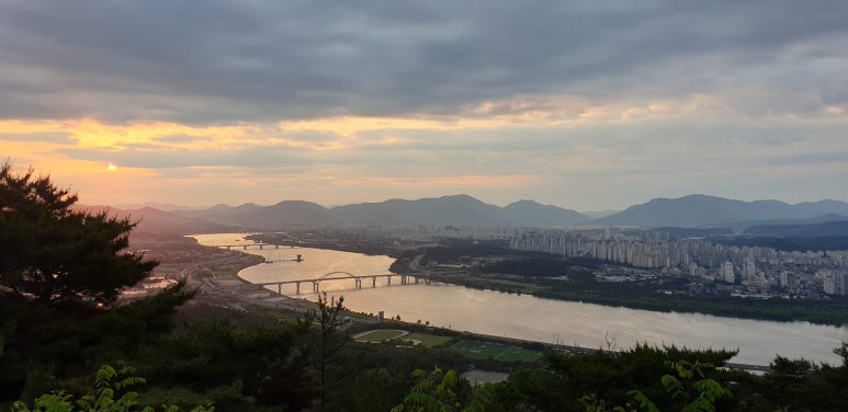 에스와이유 이미지