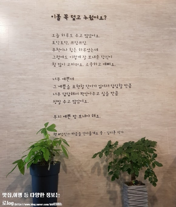 보다나 카페 이미지