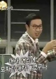꽃돼지갈매기 이미지