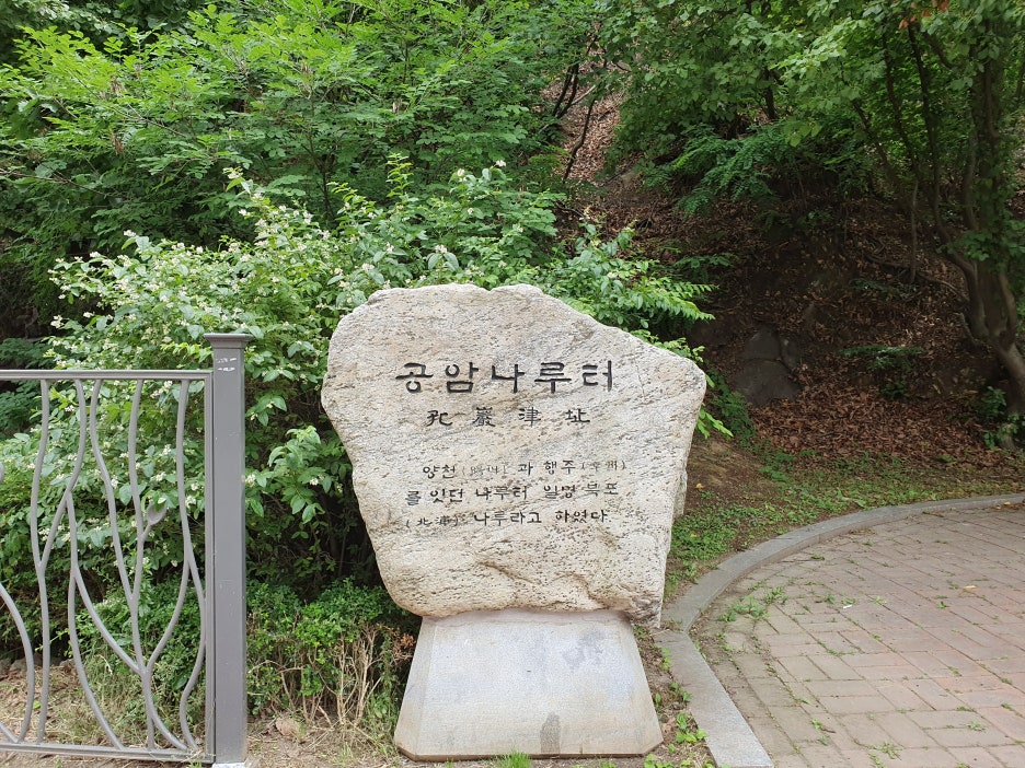해청 이미지