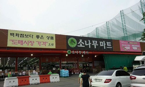 소나무마트 이미지