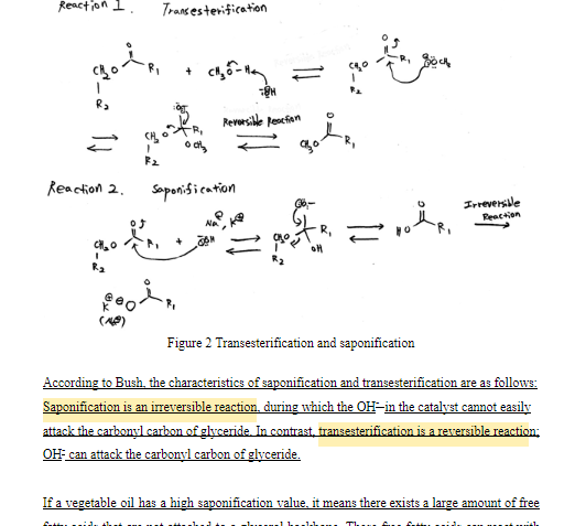 깔끔한 IA Chemistry, Biology 작성, 만점 받는 학생들 관련 이미지 1