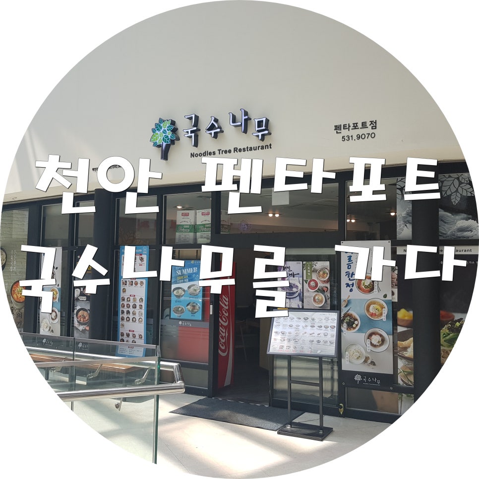 펜타포트국수나무 이미지