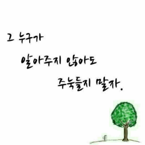 네추럴솝 이미지